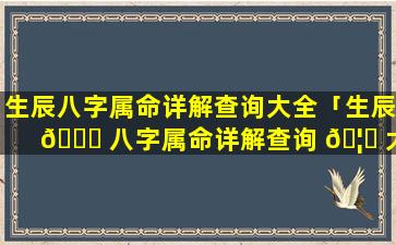 生辰八字属命详解查询大全「生辰 🍁 八字属命详解查询 🦁 大全表」